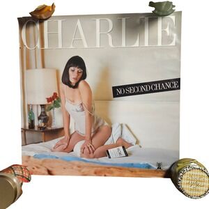 Charlie‎ No Second Chance Vintage 1977 Album Promo Poster 20x20 Janus Records